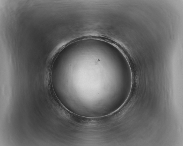 X0000116321359200912011104