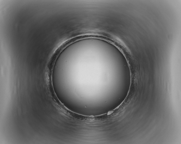 X0000116321360200912011104