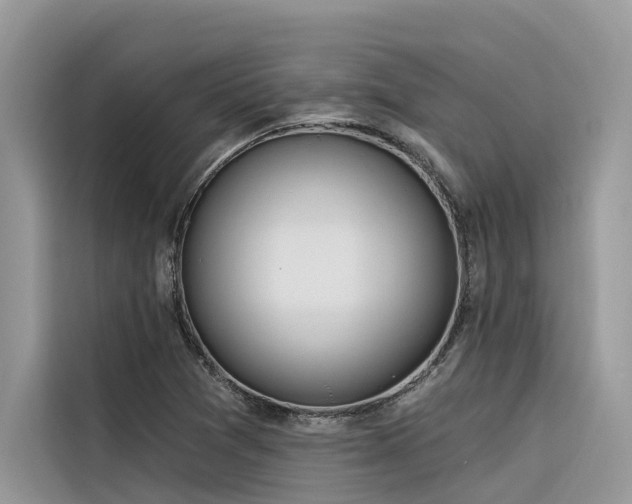 X0000116321361200912011104