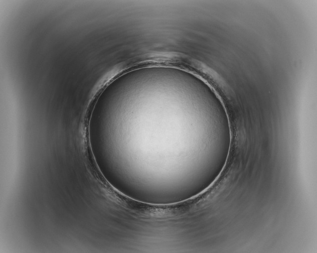 X0000116321362200912011104