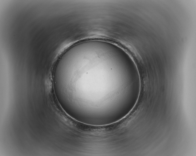 X0000116321363200912011104
