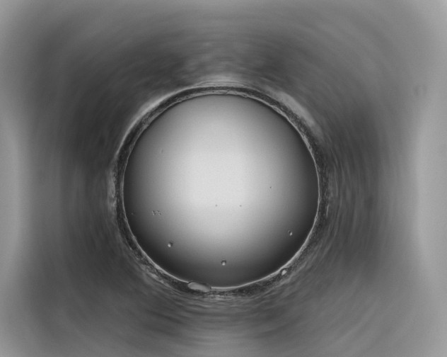 X0000116321364200912011104