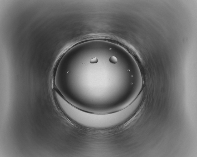 X0000116321365200912011104
