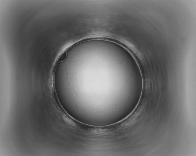 X0000116321366200912011104