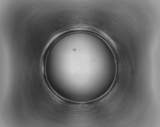 X0000116321368200912011104