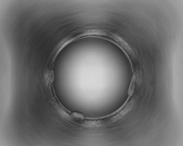 X0000116321369200912011104