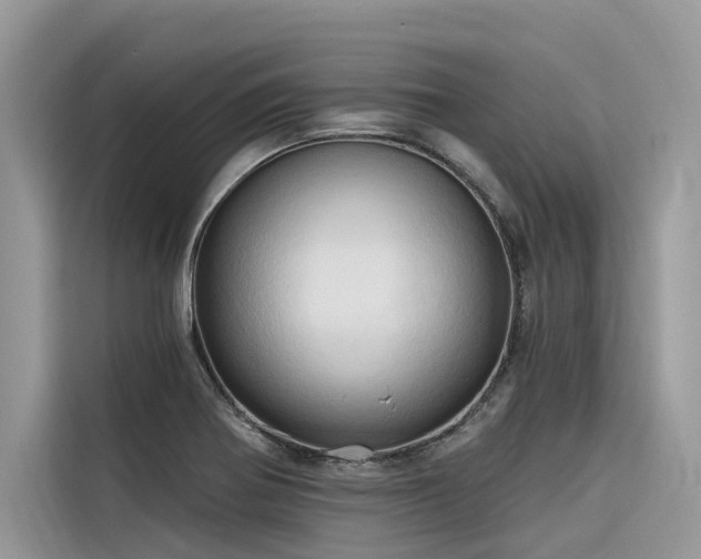 X0000116321370200912011104