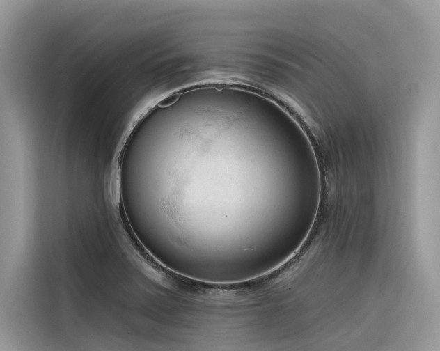 X0000116321371200912011104