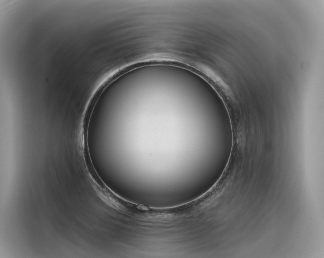 X0000116321372200912011104
