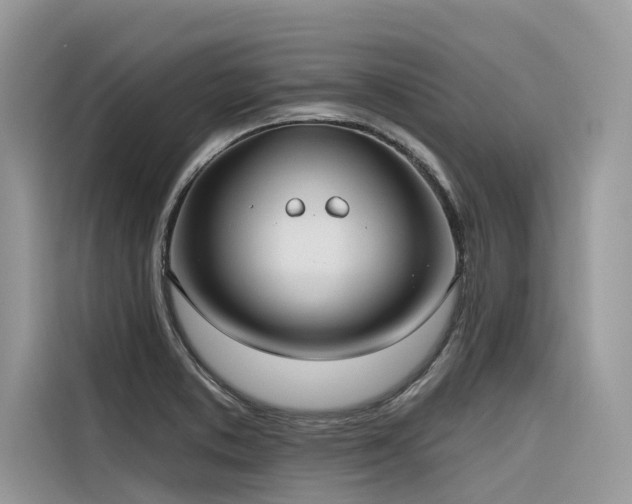 X0000116321373200912011104