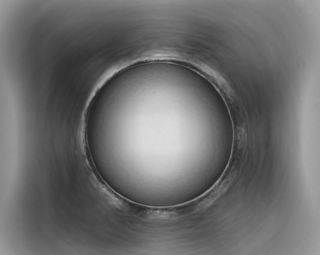 X0000116321374200912011104