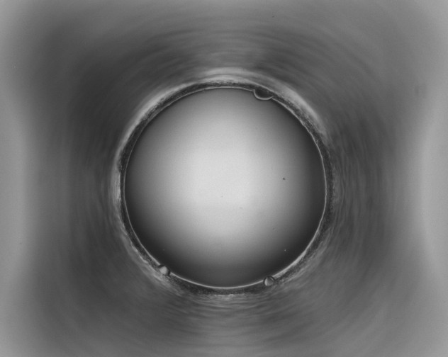 X0000116321376200912011104