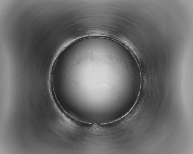 X0000116321379200912011104