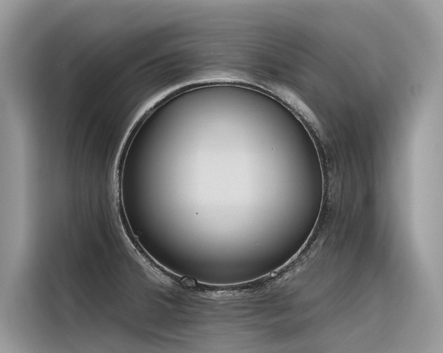 X0000116321380200912011104