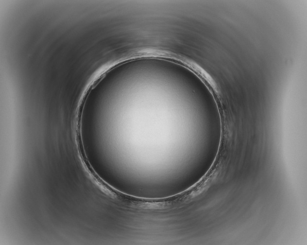 X0000116321381200912011104