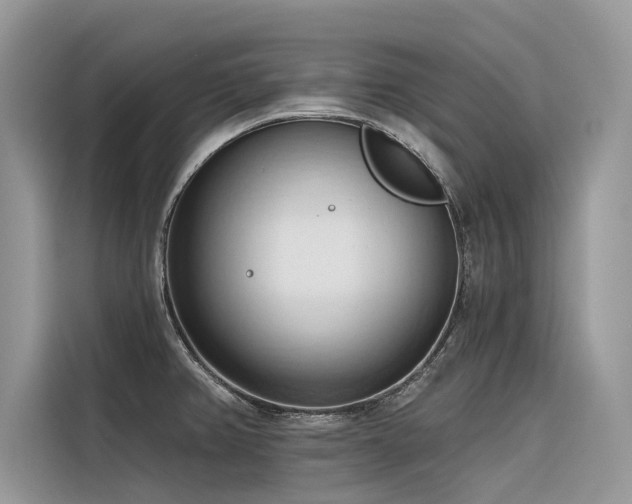 X0000116321382200912011104