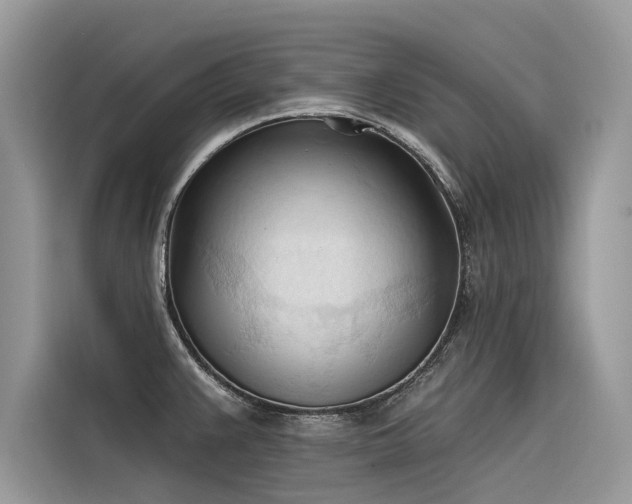 X0000116321383200912011104