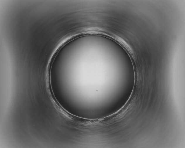 X0000116321384200912011104