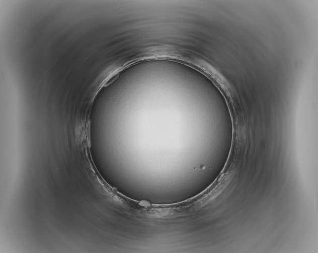 X0000116321385200912011104
