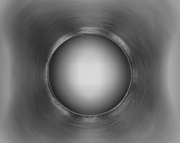 X0000116321386200912011104