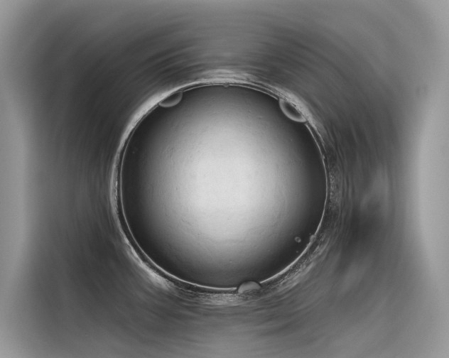 X0000116321387200912011104
