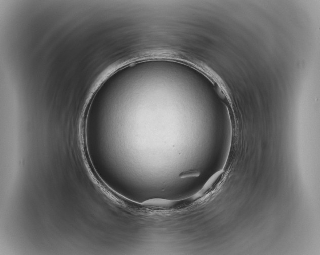 X0000116321389200912011104