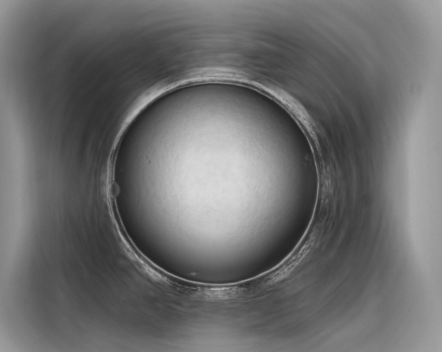 X0000116321390200912011104