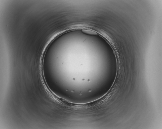 X0000116321392200912011104