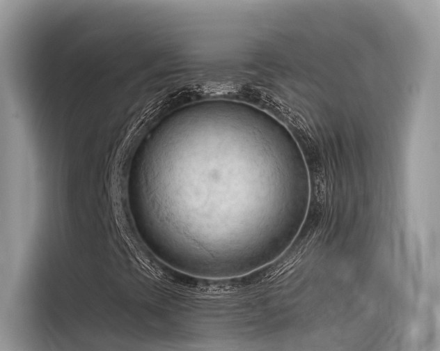 X0000116321393200912011103