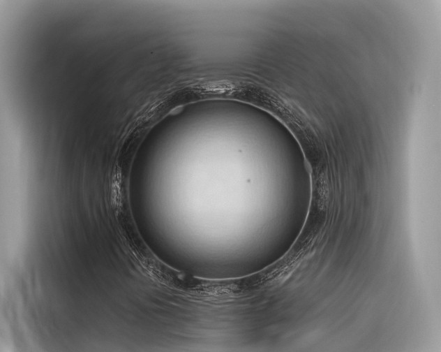 X0000116321394200912011103