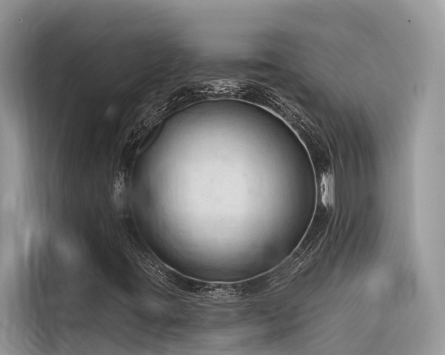 X0000116321395200912011103