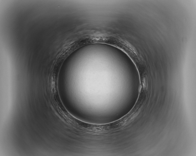X0000116321396200912011103