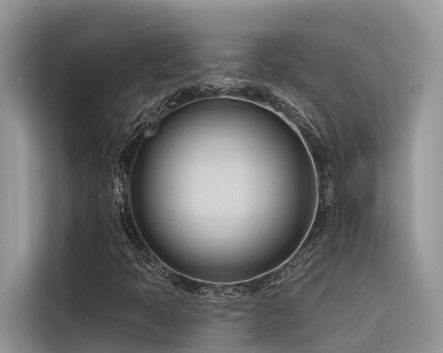 X0000116321397200912011103