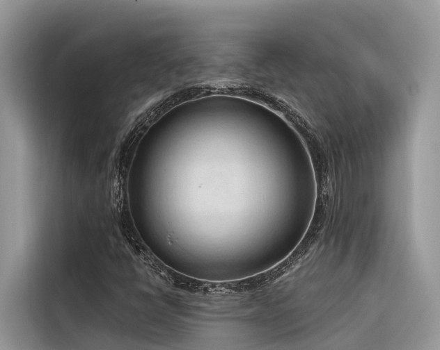 X0000116321398200912011103