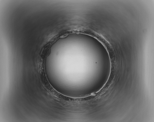 X0000116321399200912011103