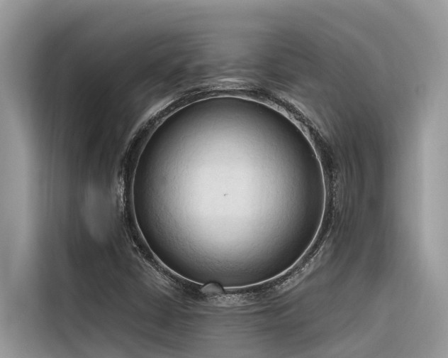 X0000116321402200912011103