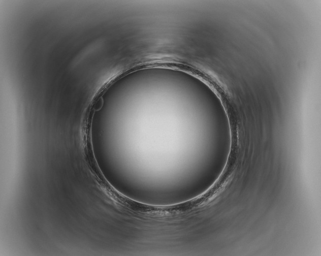 X0000116321405200912011103