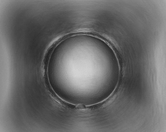 X0000116321406200912011103