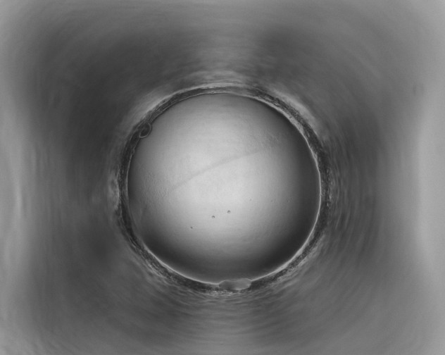X0000116321407200912011103