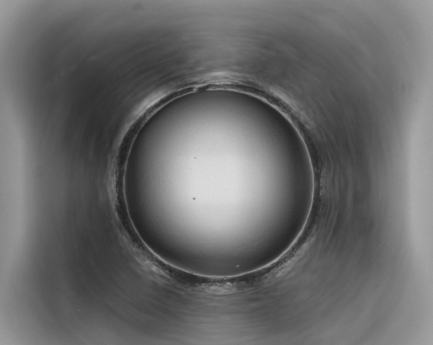 X0000116321410200912011103