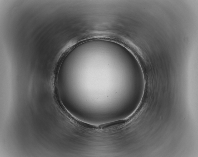 X0000116321411200912011103