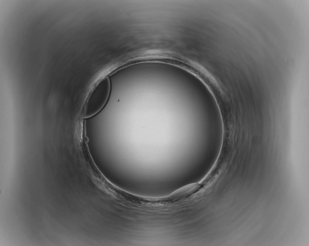 X0000116321413200912011103
