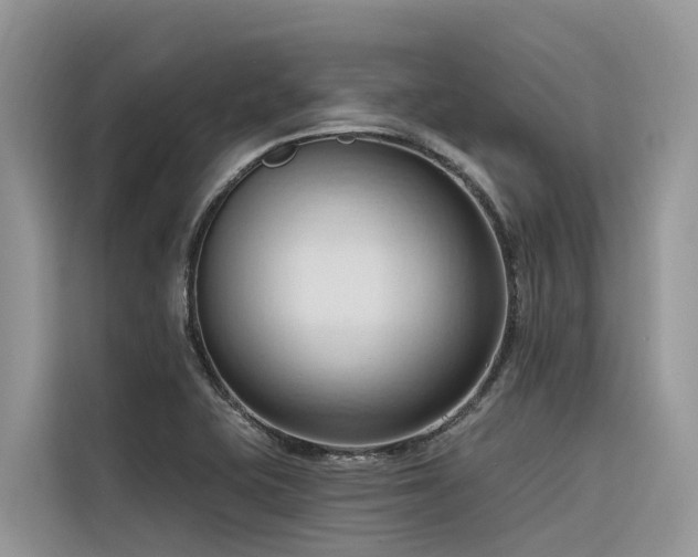 X0000116321415200912011103