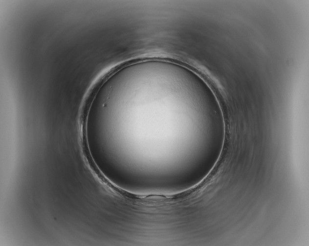 X0000116321416200912011103