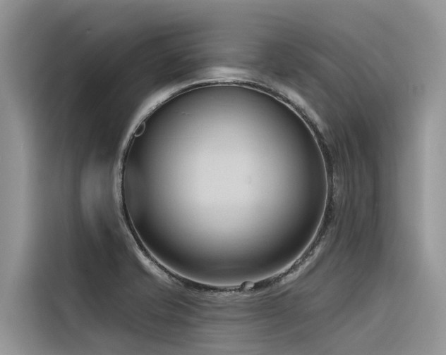 X0000116321421200912011103