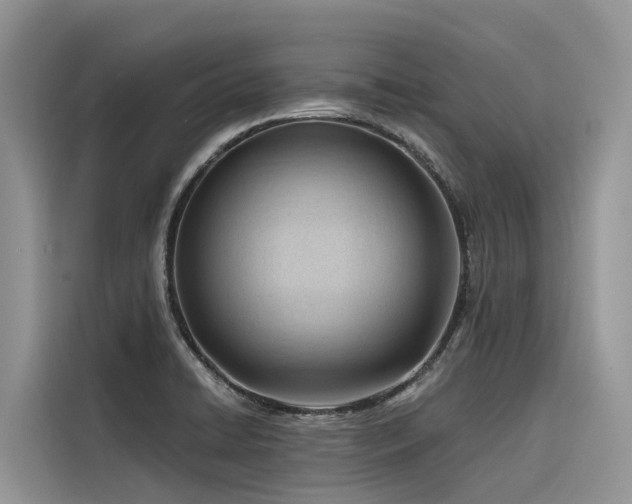 X0000116321422200912011103