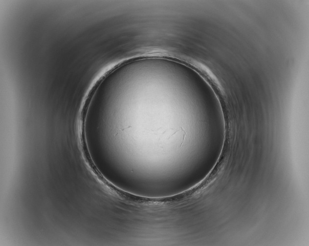 X0000116321424200912011103