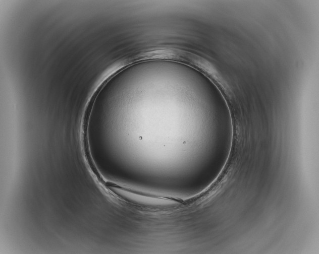 X0000116321426200912011103