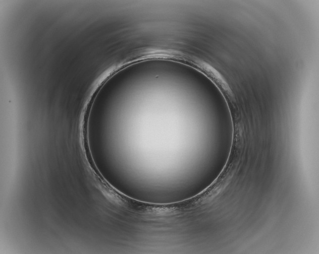 X0000116321427200912011103