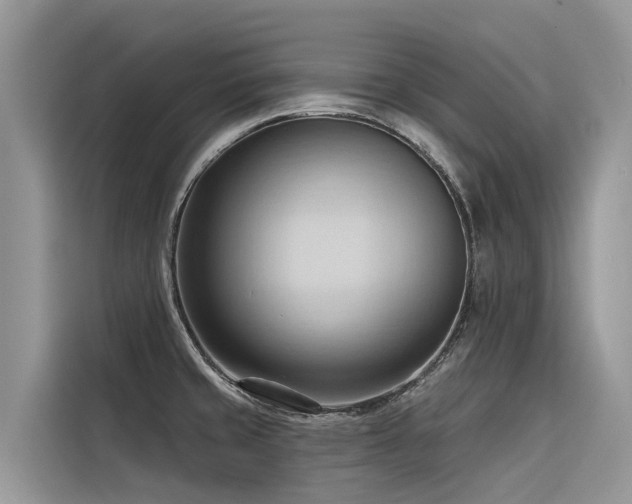 X0000116321429200912011103